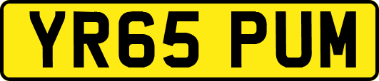 YR65PUM