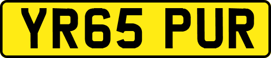 YR65PUR