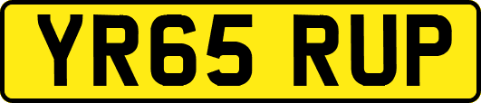 YR65RUP