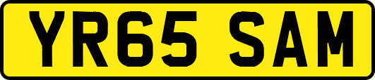 YR65SAM