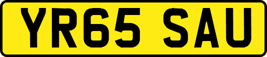YR65SAU