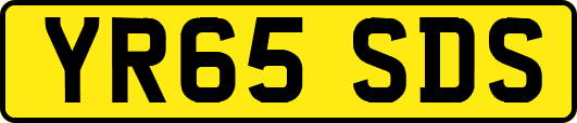 YR65SDS