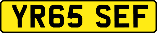 YR65SEF