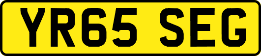 YR65SEG