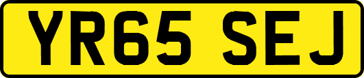 YR65SEJ