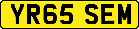 YR65SEM