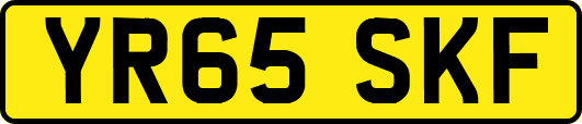 YR65SKF
