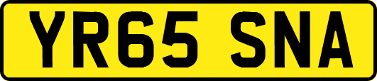 YR65SNA