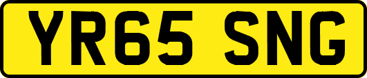 YR65SNG