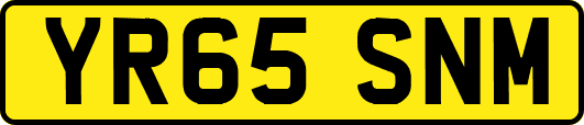 YR65SNM