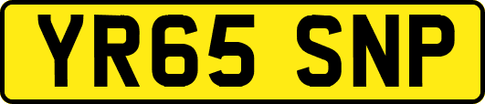 YR65SNP