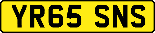YR65SNS