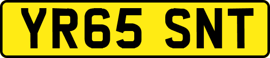 YR65SNT