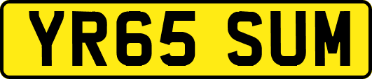 YR65SUM