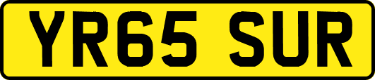 YR65SUR