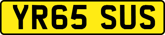 YR65SUS