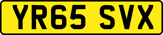 YR65SVX