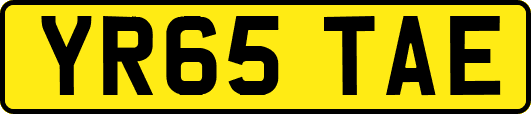 YR65TAE