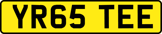 YR65TEE