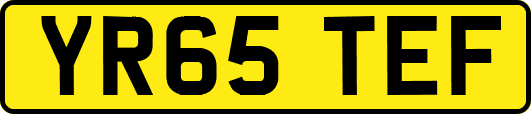 YR65TEF