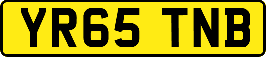 YR65TNB