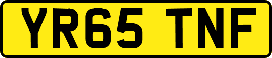 YR65TNF