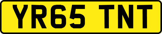 YR65TNT