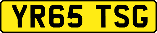 YR65TSG