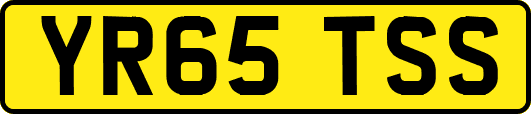 YR65TSS