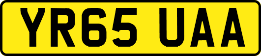 YR65UAA