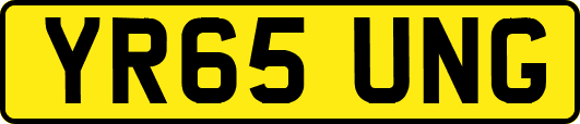 YR65UNG