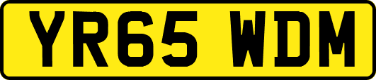 YR65WDM