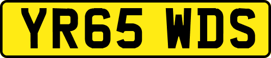 YR65WDS