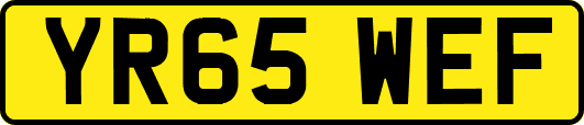 YR65WEF