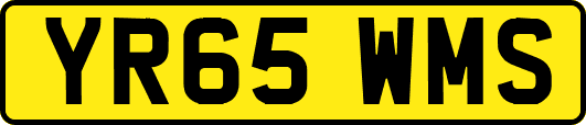 YR65WMS