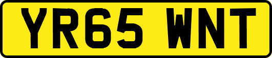 YR65WNT