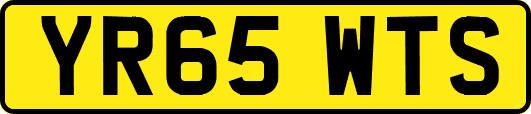 YR65WTS