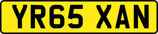 YR65XAN