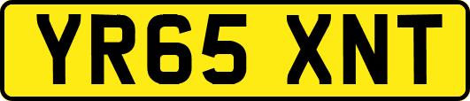 YR65XNT