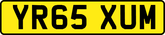 YR65XUM