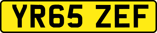 YR65ZEF