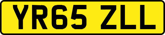 YR65ZLL
