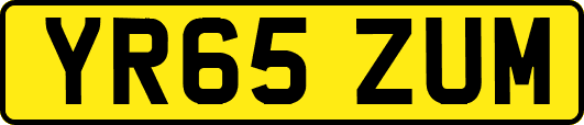 YR65ZUM