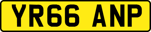 YR66ANP