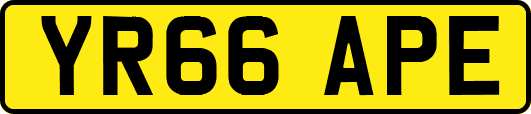 YR66APE