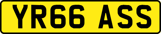 YR66ASS