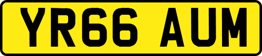 YR66AUM