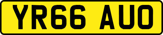 YR66AUO