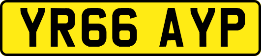 YR66AYP