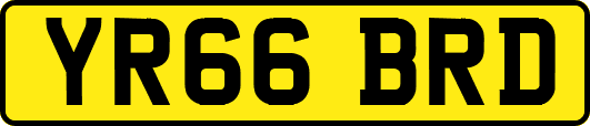 YR66BRD